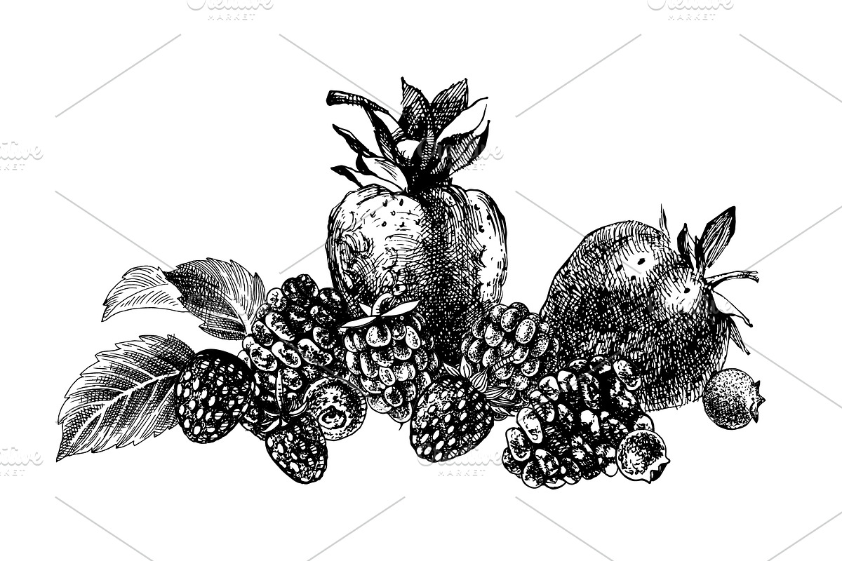Fresh berries, a Food Illustration by handsketched (Photo 11 of 21)