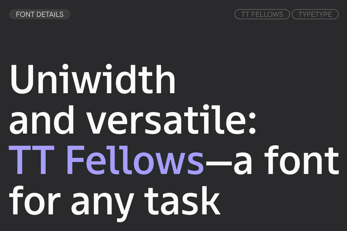 TT Fellows, a Sans Serif Font by TypeType (Photo 3 of 15)
