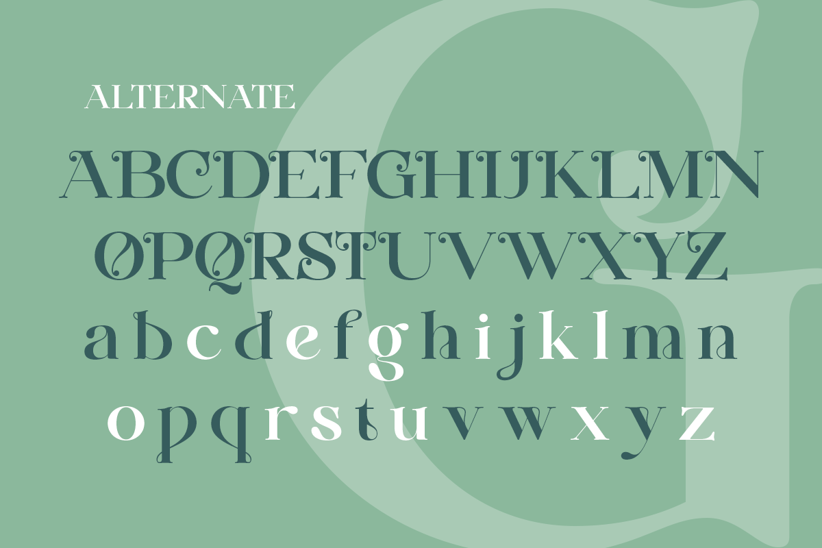 Huffleheim - Elegant Modern Serif, a Serif Font by Qweera Studio (Photo 10 of 12)