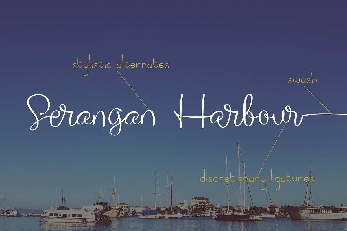 The Willyst, a Script Font by greatypes studio (Photo 3 of 14)