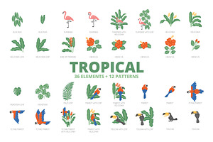 36 Tropical Elements 12 Patterns