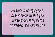 Traffic Rolland | Casual Handwritten, a Script Font by gracetype_studio (Thumbnail 10 of 12)