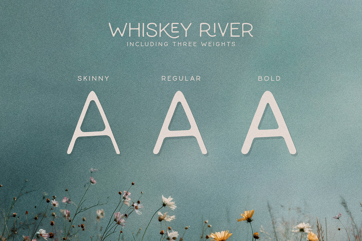 Whiskey River Monoline Typeface, a Font by Callie Rian & Co. (Photo 12 of 12)