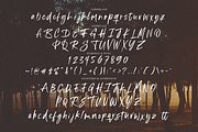 Barinde - Brush Logotype, a Script Font by tebaltipislab (Thumbnail 7 of 7)