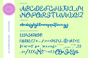 Create Paint Bold Calligraphy Font, a Script Font by stylishtype.co (Thumbnail 18 of 20)