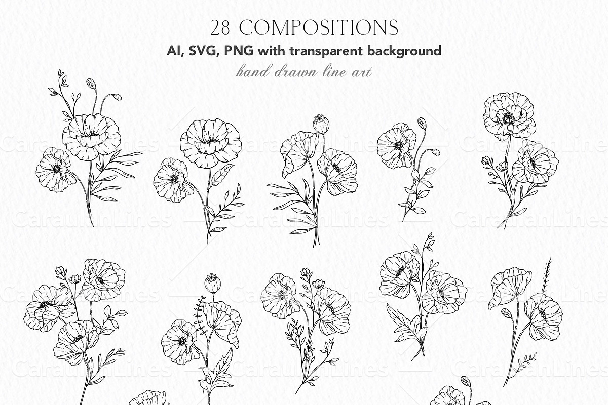 Poppy Line Art, an Object Graphic by CaraulanStore (Photo 2 of 6)
