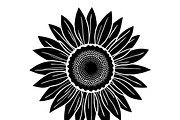 Floral Flower Vector Collection, an Illustration by Designer_Momina (Thumbnail 9 of 9)