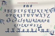 Roshinta - Decorative Display Font, a Sans Serif Font by StringLabs (Thumbnail 9 of 10)