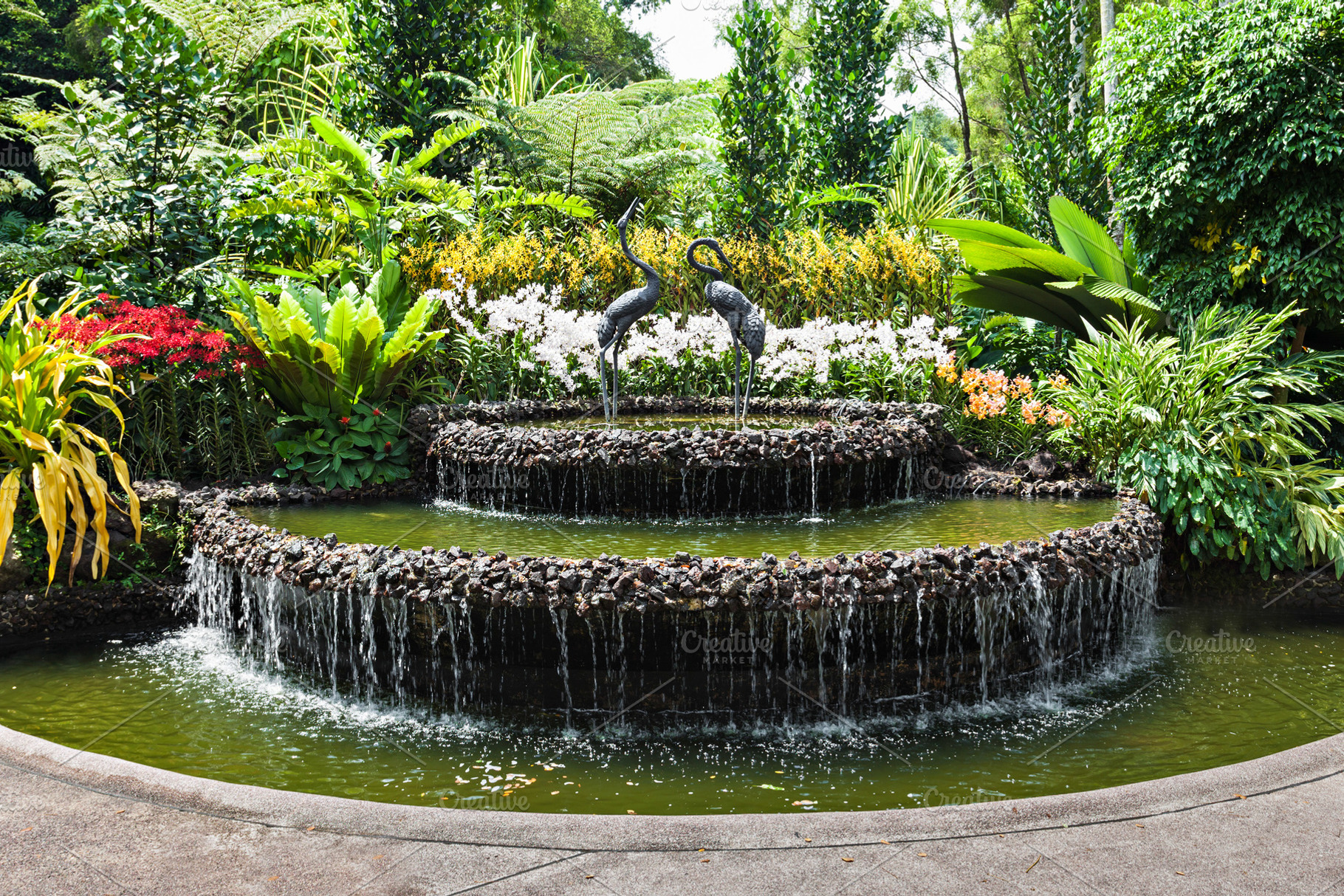 Singapore Gardens, a Photo by saiko3p