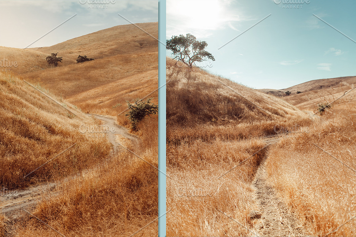 Golden Fields Lifestyle Stock Photo, a Beauty & Fashion Photo by Munopia (Photo 7 of 7)