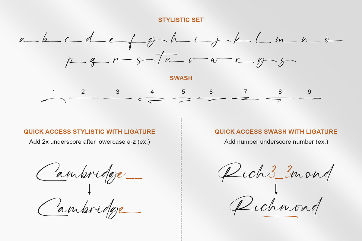 The Billion | Stylish Signature, a Script Font by Lemonthe (Photo 6 of 10)
