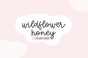 Wildflower Honey Script, a Handwritten Font by Beck McCormick