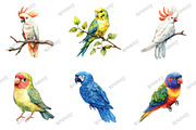 Parrots Watercolor Clipart, an Illustration by designcity5 (Thumbnail 2 of 5)
