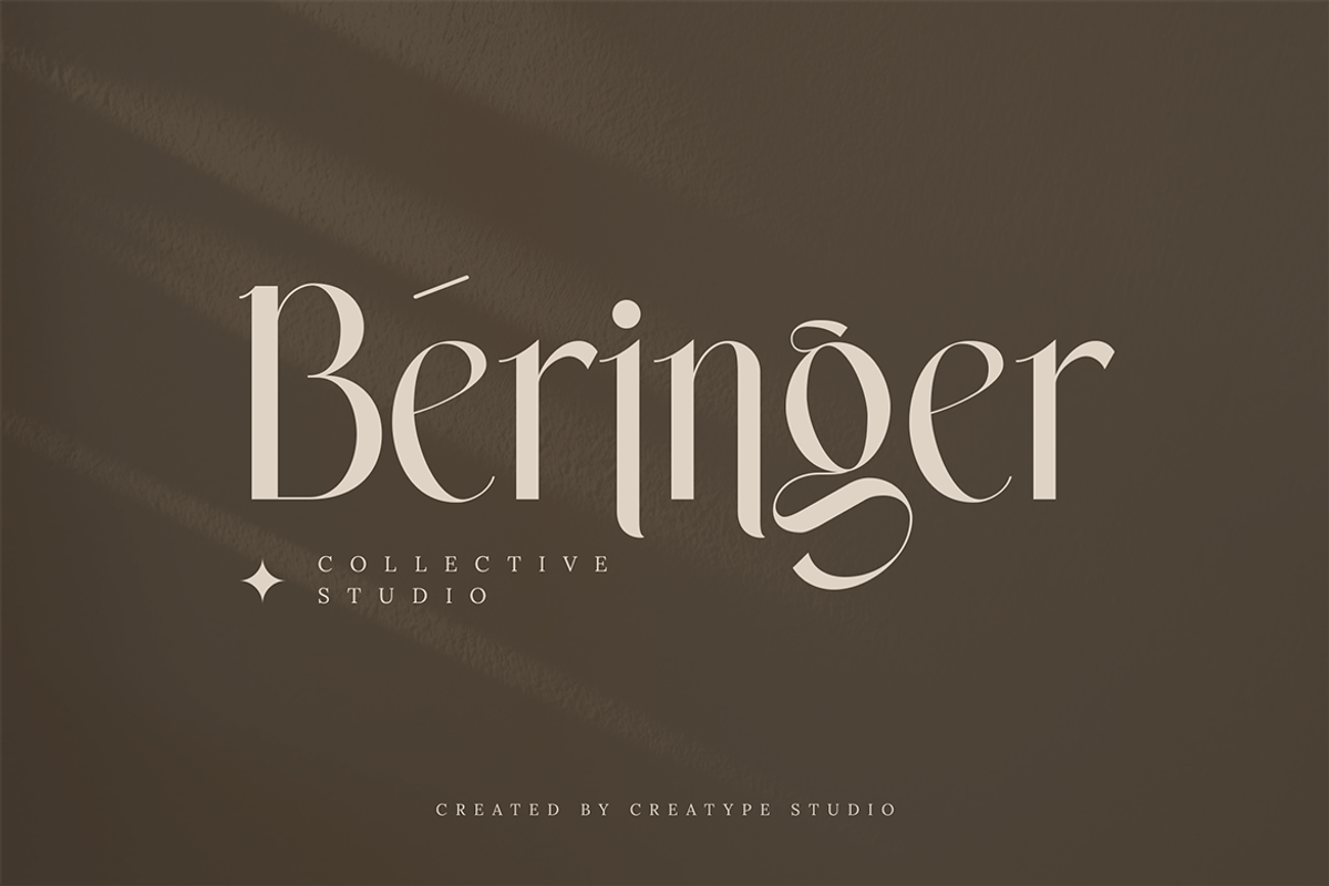 Wastogi Beautiful Serif, a Serif Font by Creatype Studio (Photo 3 of 10)
