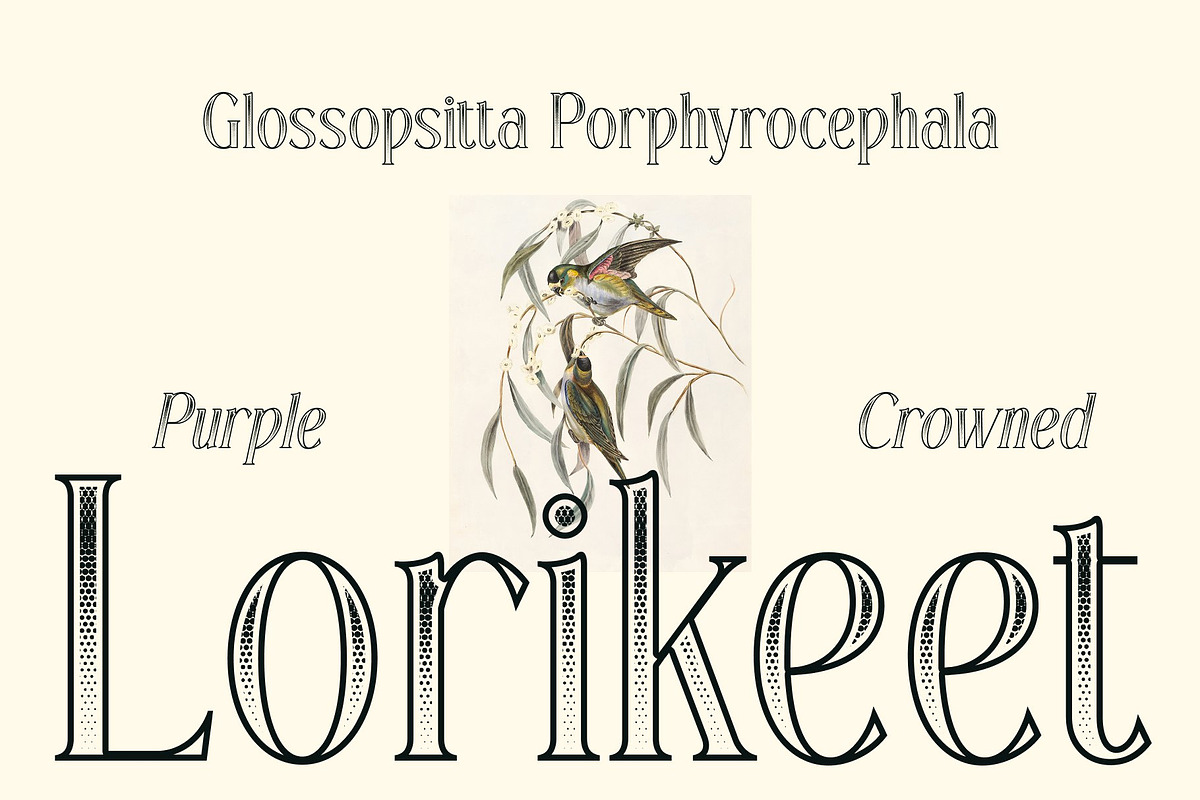 CS Alma Stippled, a Serif Font by Craft Supply Co. (Photo 2 of 8)