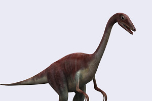 3DRT - Dinosaurs - Compsognathus