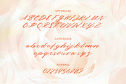 Sweet June - Lovely Script, a Handwritten Font by Typefactoryco (Thumbnail 2 of 10)