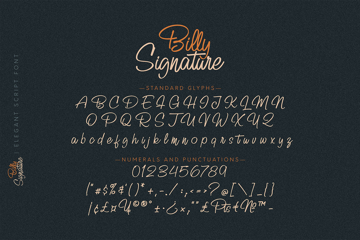Billy Signature, a Script Font by Omotu Studio (Photo 10 of 12)