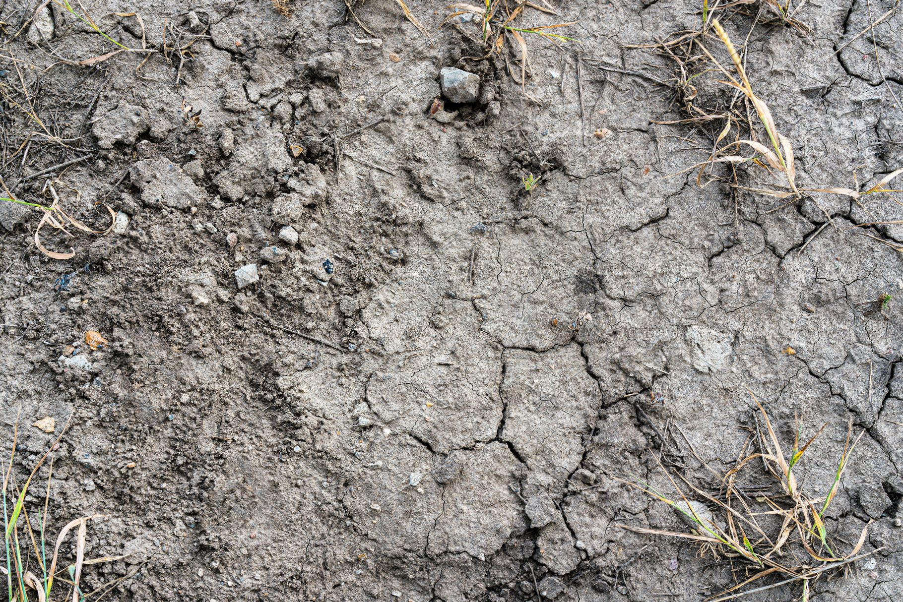 Texture of dry cracked earth., an Abstract Photo by Eugene_Photo