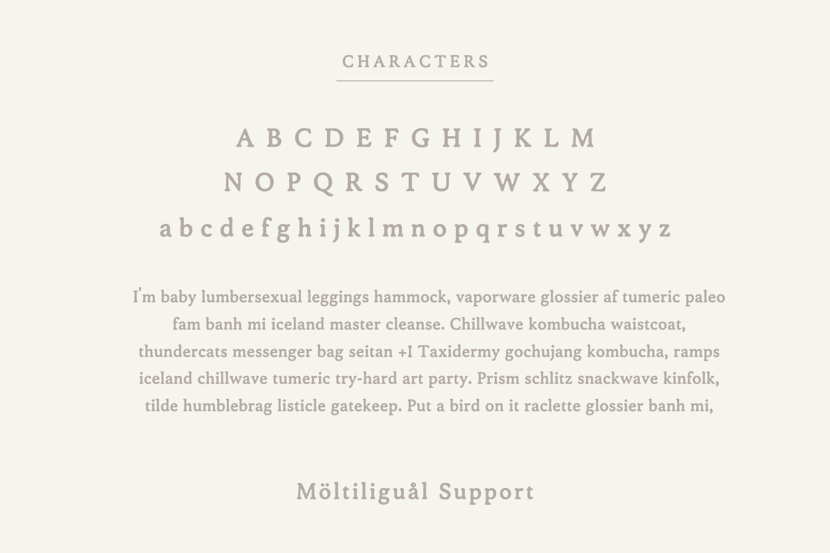 Sichuan, a Serif Font by Sofia Skoog (Photo 9 of 10)