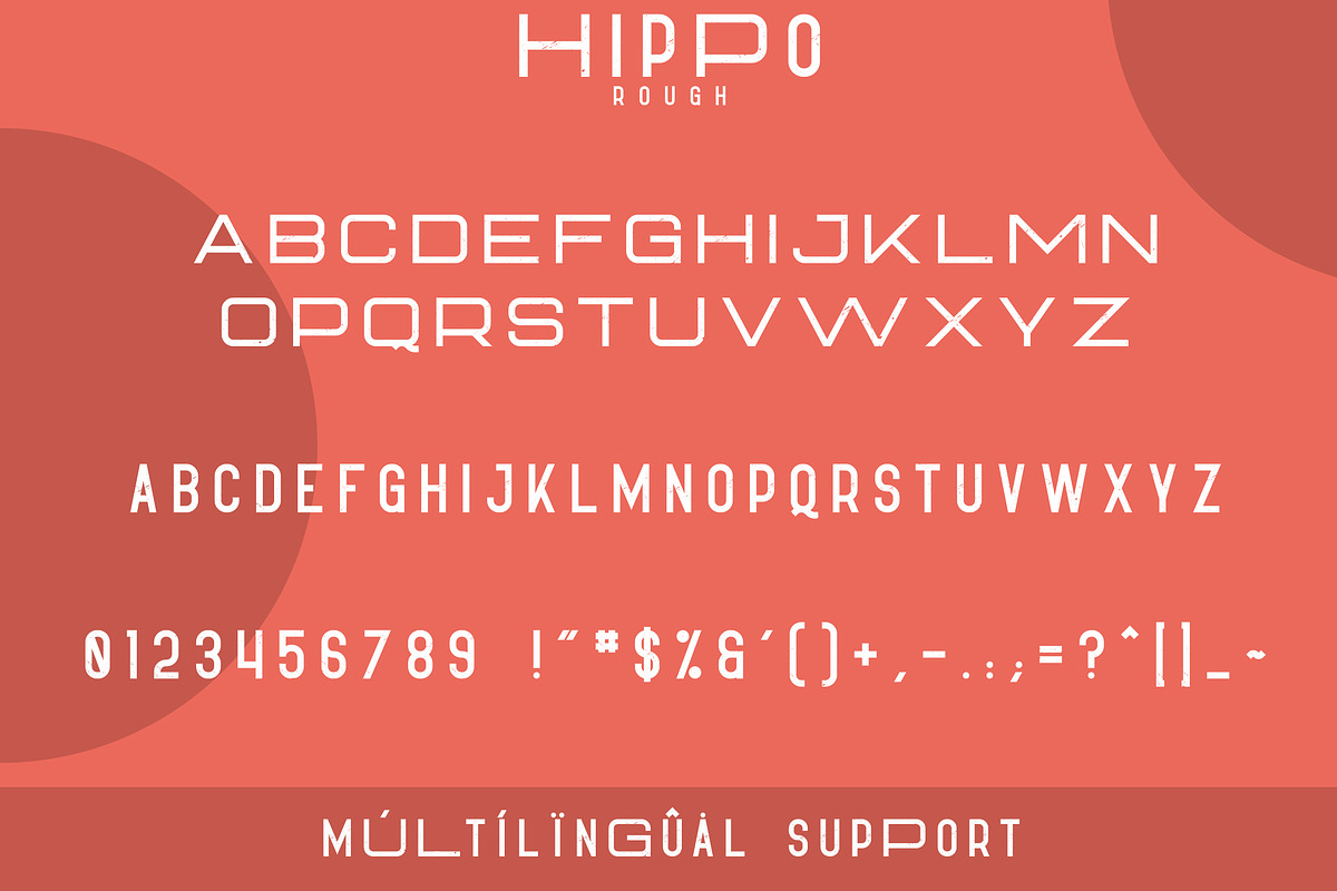 Hippo Sans Serif | 3 styles, a Sans Serif Font by VP Fonts (Photo 9 of 10)