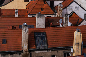 Decoration of the building in Old Prague, an Architecture Photo by Anna Bogush