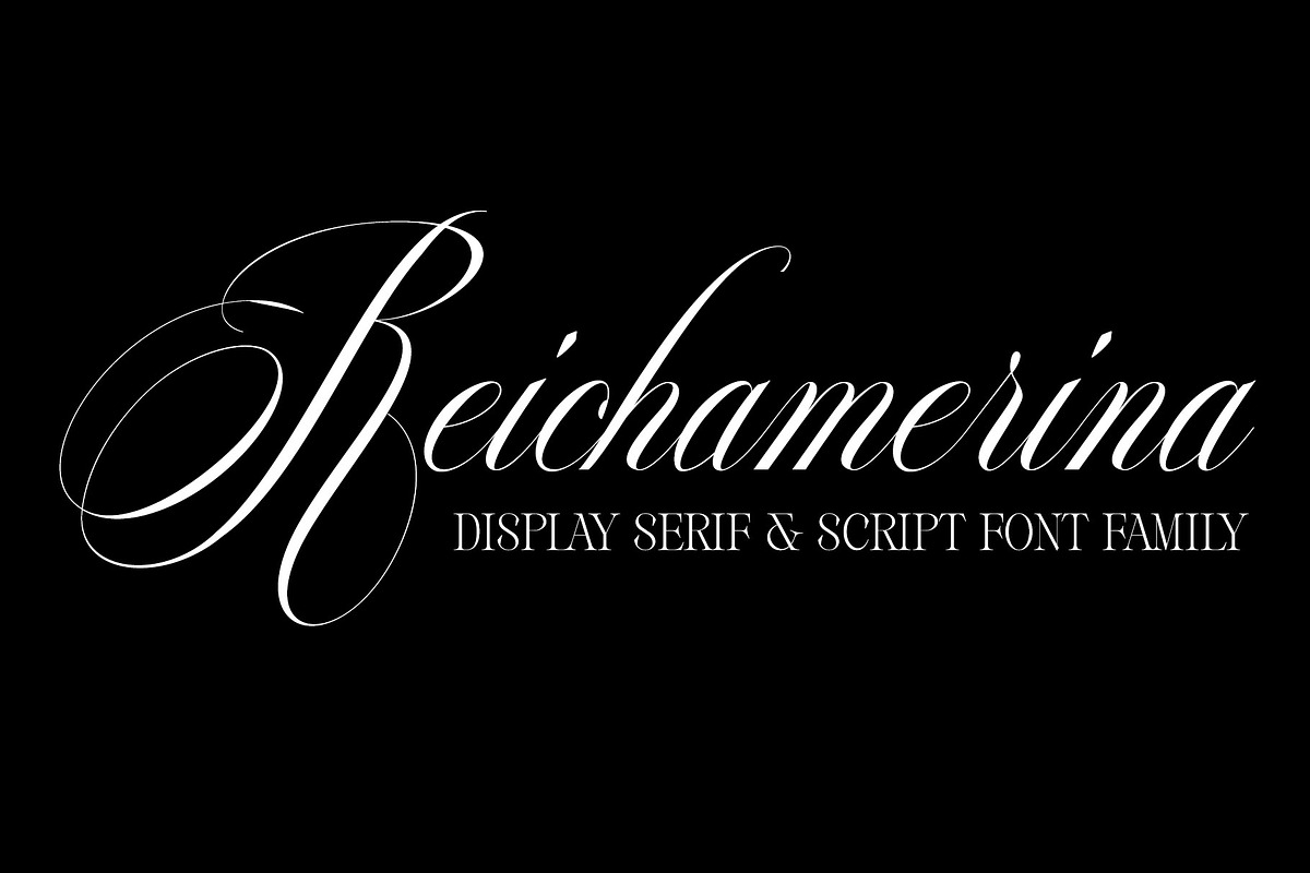Reichamerina font family, a Serif Font by Ryul Davidson (Photo 1 of 27)