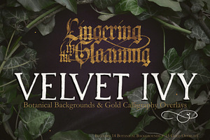 Velvet Ivy – Botanical Backgrounds |, a Background Graphic by Aga Silva