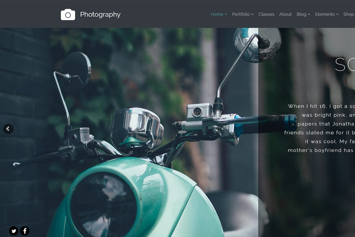 Photography Gallery WordPress Theme, a WordPress Template by Visualmodo (Photo 8 of 21)
