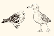 Hand Drawn Animals, an Animal Illustration by Artspace (Thumbnail 2 of 6)