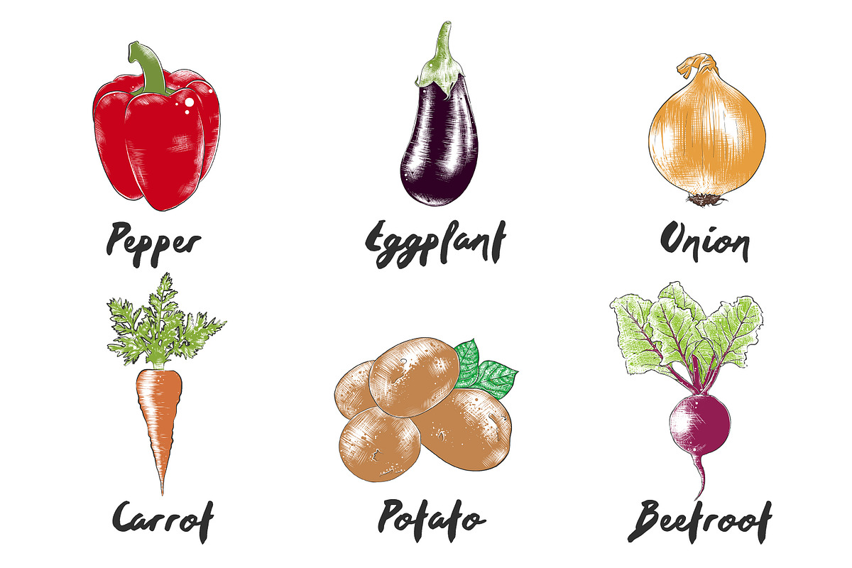 Set of 42 organic food sketches, a Food Illustration by Akimo Mia (Photo 3 of 8)