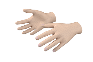 Female Hand Base Mesh 03