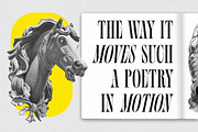 Silvermist Display Serif, a Serif Font by Letteralle Studios (Thumbnail 6 of 9)