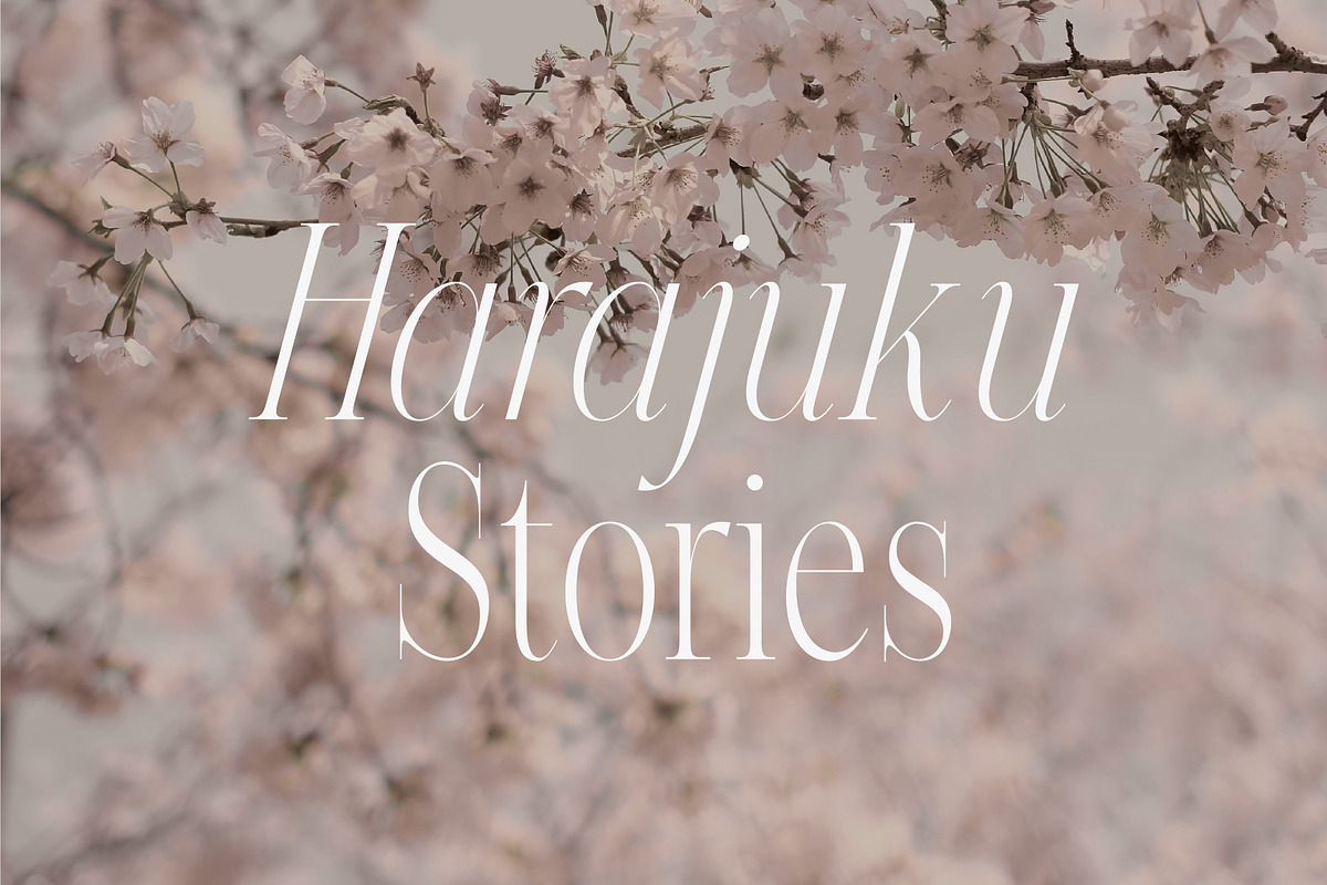 Felix - Condensed Display Serif Font, a Serif Font by Studio Aurora (Photo 3 of 10)