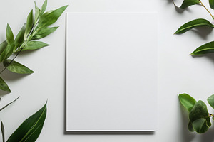A4 sheet of paper among green leaves, a Background Photo by MistyDay