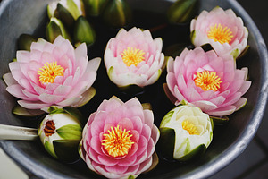 Water lily stock photo containing flower and lily, a Nature Photo by Nazar Hrabovyi