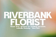 Rivelle - Modern Sans Serif, a Sans Serif Font by Schrifted Type (Thumbnail 6 of 8)