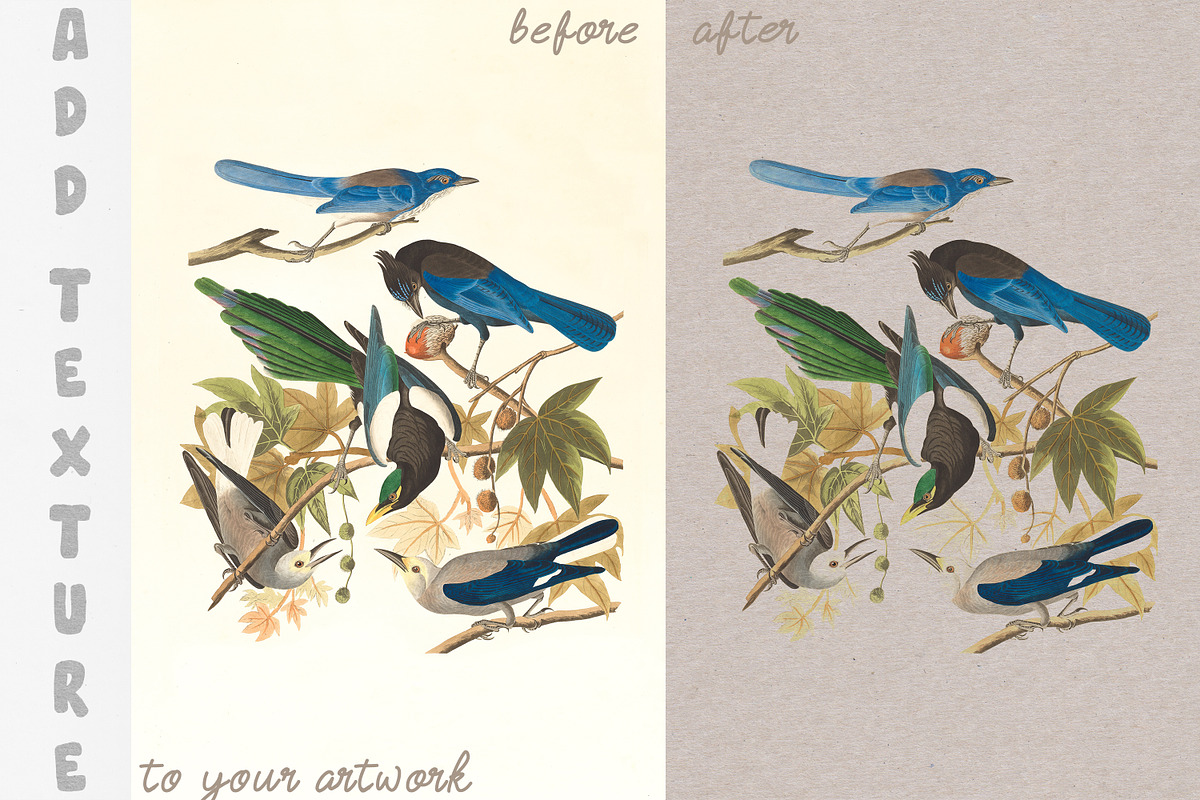 Crafty Delicate Watercolor Paper Set, a Texture Graphic by Liquid Amethyst Art (Photo 3 of 7)