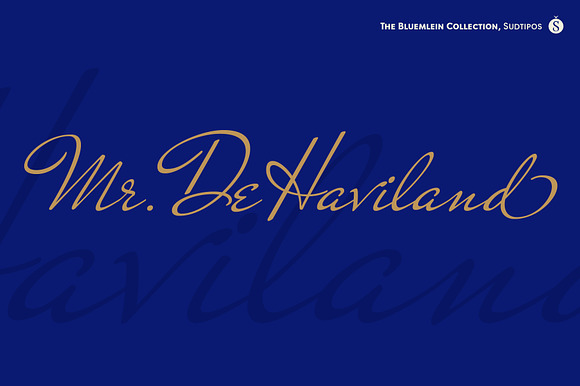 Mr DeHaviland Pro preview 7
