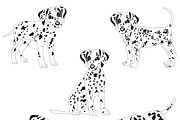 Dalmatian, an Animal Illustration by Orangepencil (Thumbnail 2 of 7)