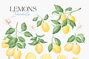 Italian Graphic Bundle, a Decorative Illustration by Corina Moscu (Thumbnail 2 of 16)