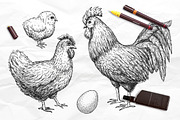 Chicken Hand Drawn Set, a Background Graphic by Epine (Thumbnail 2 of 4)
