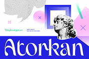 Atorkan Serif Display Font, a Serif Font by timelesstype.co (Thumbnail 1 of 10)