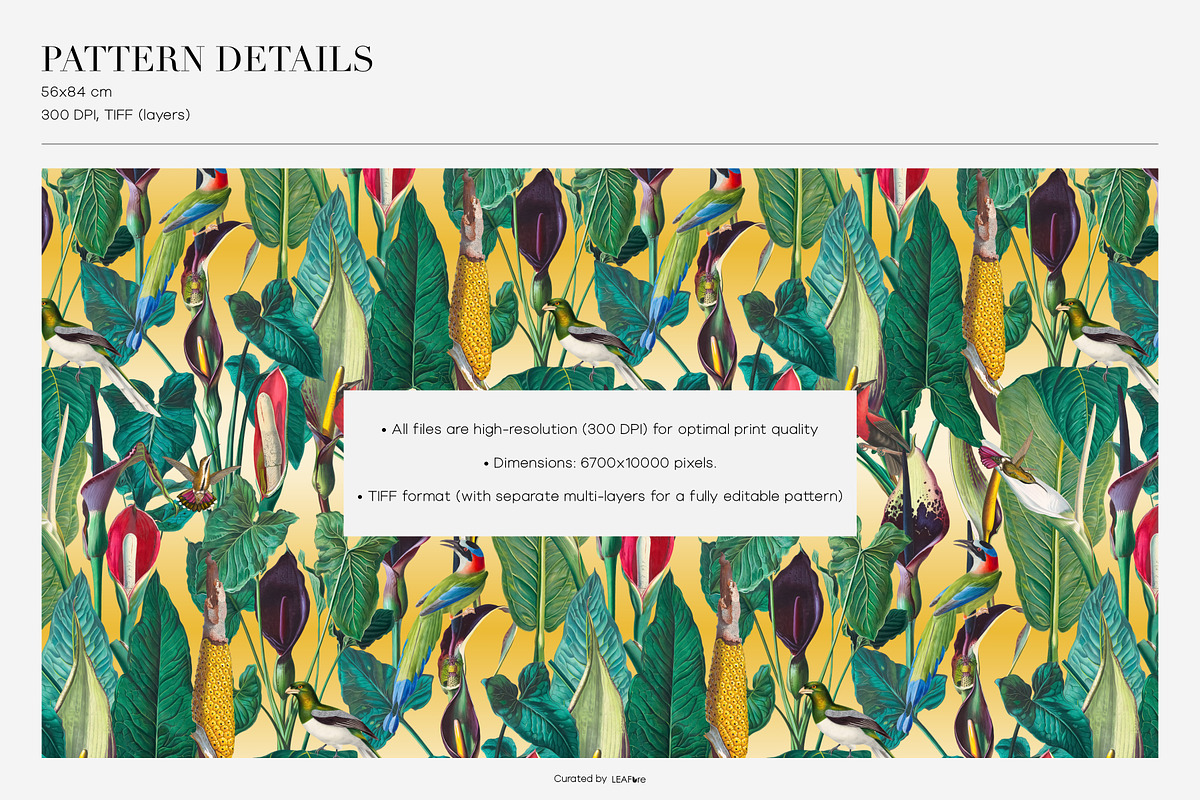 Exotic Tropical Patterns & Motifs, a Pattern Graphic by LEAFure (Photo 3 of 13)