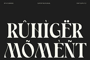 CS Brandis – Modern Serif Font, a Serif Font by Craft Supply Co. (Thumbnail 4 of 8)
