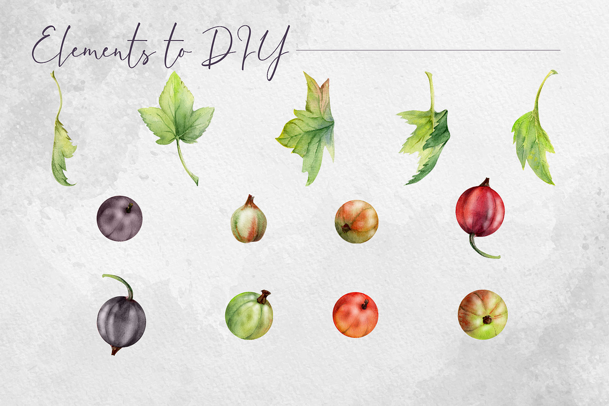 Currant splashes in watercolor, a Food Illustration by MsFlaffy (Photo 9 of 10)