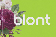 Blont | Modern & Clean Logo Font, a Sans Serif Font by 160 Studio (Thumbnail 1 of 13)