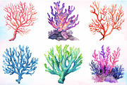Watercolor Coral Reef Clipart Bundle, an Illustration by Canvas Craft (Thumbnail 2 of 4)