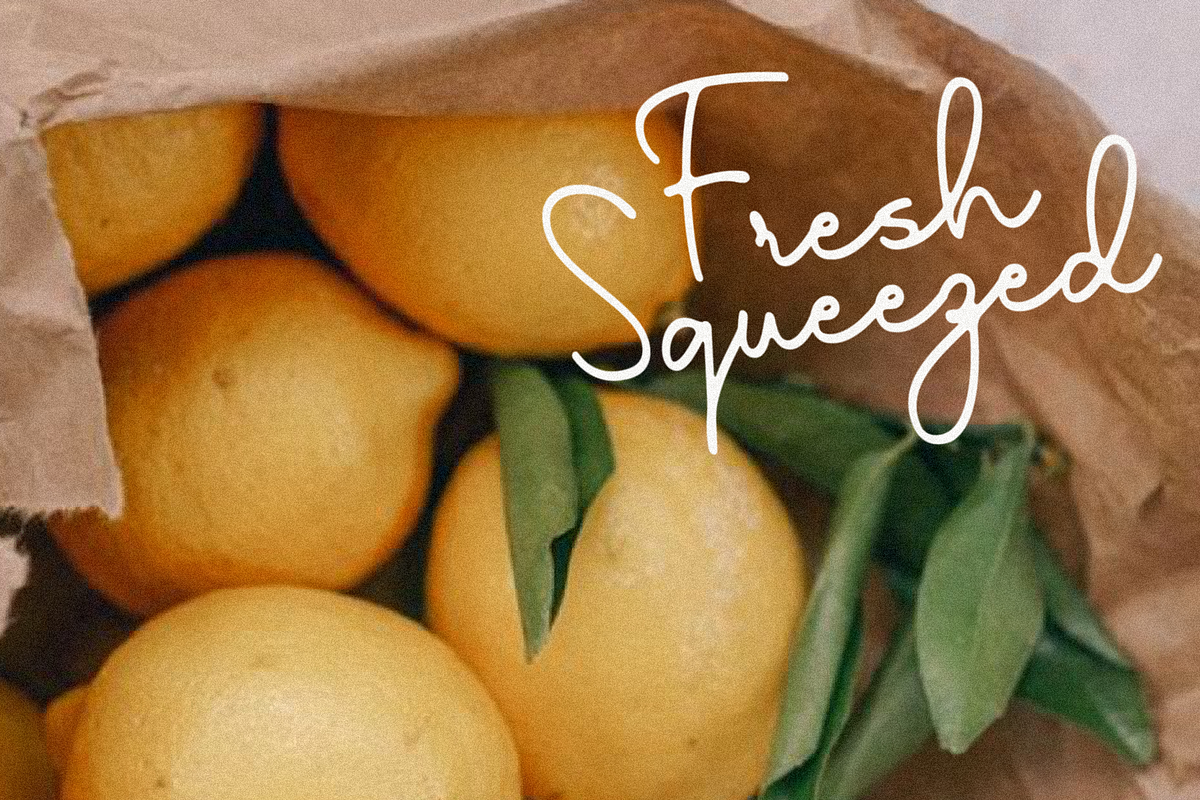 Palmetto, a Script Font by Bruised Goods (Photo 8 of 12)