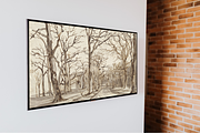 Hand drawn Tree Sketch Wall Art, a Decorative Illustration by Pink_bloom (Thumbnail 4 of 8)